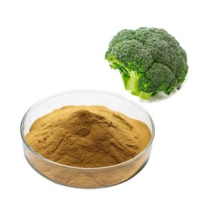 Sulforaphane Supplement Factory - Best Quality Detox