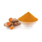 Turmeric Root Extract Factory - Premium Natural Powder
