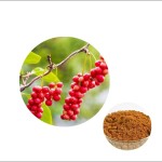 Schisandra Extract Supplier - Fruit Powder Stress Relief