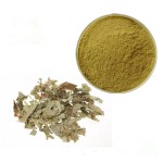 Senna Leaf Extract Factory - Natural Weight Loss Powder