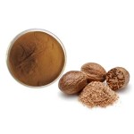 Nutmeg Extract Factory - Myristicin High Purity