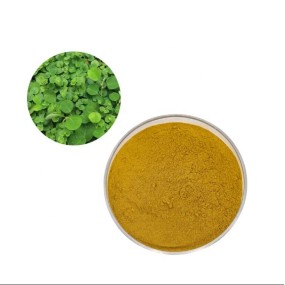 Desmodium Extract Supplier - Liver Support Detoxification