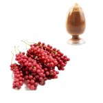 Schisandra Extract Supplier - Fruit Powder Stress Relief