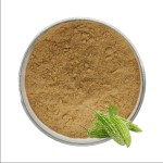Bitter Melon Extract Factory - Natural Blood Sugar Support