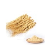 Ginseng Root Powder Supplier - Wild Dried Polysaccharide