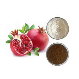 Pomegranate Extract Factory - 30:1 Punicalagin Organic