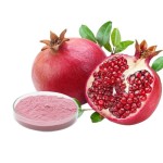 Pomegranate Extract Factory - 30:1 Punicalagin Organic