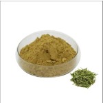 Green Tea Extract Supplier - 30% EGCG Liquid Cosmetic