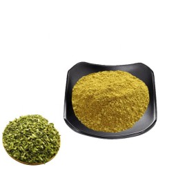 Rutin Powder Supplier - Hair Growth Support