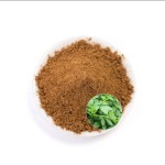 Gynostemma Pentaphyllum Factory - 98% Purity Vegan