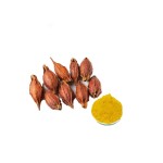 Genipin Powder Supplier - HPLC Tested Cosmetics