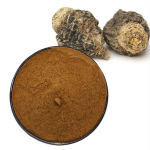 Maca Extract Powder Supplier - 10:1 ISO Certified Organic