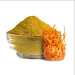 Cordyceps Powder Manufacturer - Natural Fermented Mycelium