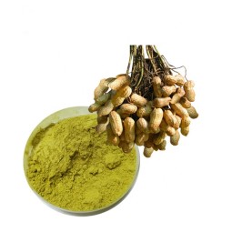Luteolin Powder Factory - Natural Plant Cosmetic