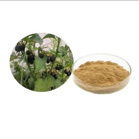 Solanum Nigrum Extract Supplier - Herbal Supplement Powder
