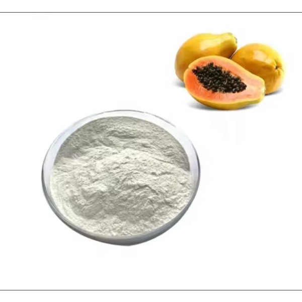 Papaya Extract Manufacturer - GMP Certified Wholesale