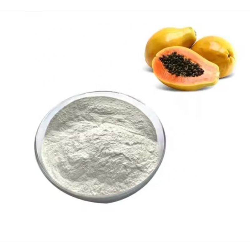 Papaya Extract Manufacturer - GMP Certified Wholesale