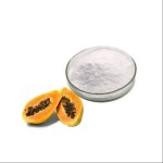 Papain Enzyme Powder Supplier - 60000 Unit Food Grade