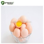 Whole Egg Powder Manufacturer - Stabilized Organic 1kg