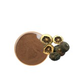 Citrus Extract Manufacturer - Diosmin Hesperidin 90%