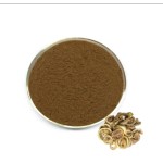 Citrus Bioflavonoid Supplier - Aurantium Fruit Extract