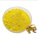 Cortex Phellodendri Extract Factory - Organic Immune Support