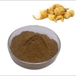 Maca Extract Powder Supplier - 20:1 Organic Supplement