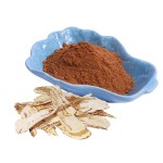 Dong Quai Extract Supplier - 5:1 Root Concentrate