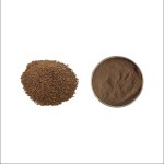 Semen Cuscutae Extract Factory - Dodder Seed Natural