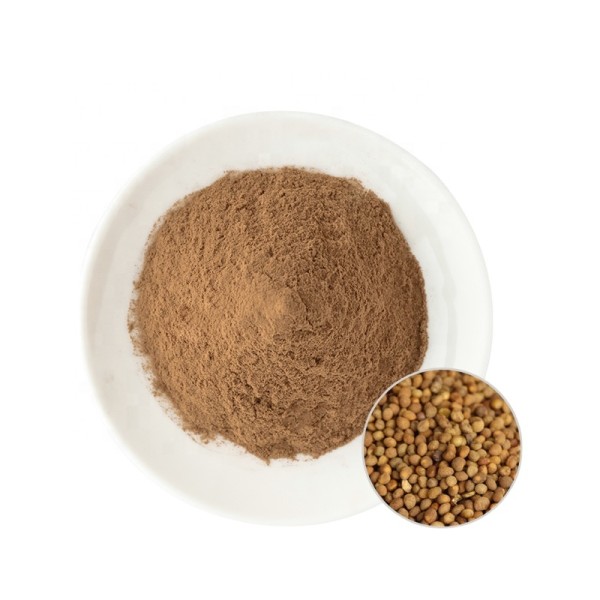 Semen Cuscutae Extract Factory - Dodder Seed Natural