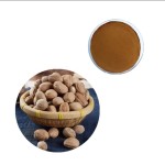 Nutmeg Extract Factory - Myristicin High Purity