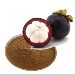 Mangosteen Extract Supplier - 40% Peel Natural