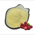 Myricitrin Extract Factory - Myrica Rubra Natural