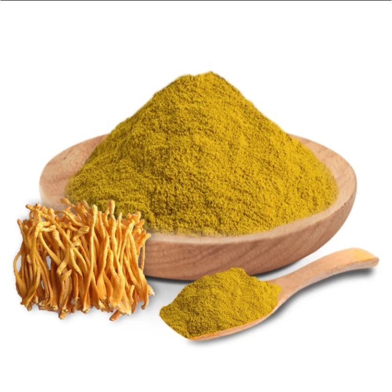 Cordyceps Powder Manufacturer - Natural Fermented Mycelium