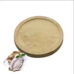 Oyster Mushroom Powder Supplier - Polysaccharides Herbal