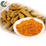 Organic Turmeric Extract Supplier - Bioperine 95%
