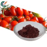 Date Seed Powder Factory - High Quality Bulk