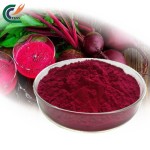 Epimedium Powder Supplier - Horny Goat Weed 98%