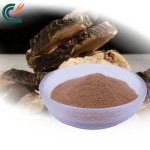 Horny Goat Weed Supplier - Icariin 20%-90%