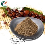 Panax Ginseng Manufacturer - 99% Extract Powder