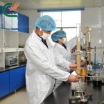 Grape Seed Extract Factory - 95% Proanthocyanidins