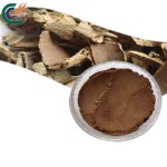 Eucommia Bark Extract Manufacturer - Chlorogenic Acid
