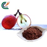 Coconut Powder Manufacturer - Desiccated for Baking