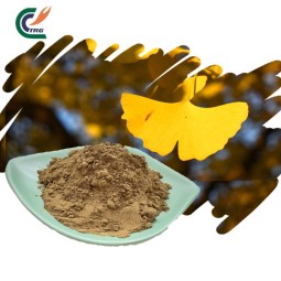 Ginkgo Leaf Extract Supplier - 24% Flavones 6%