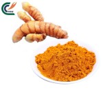 Curcumin Extract Manufacturer - Herbal Longa L.