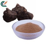 Ganoderma Powder Manufacturer - Lucidum Vegetarian