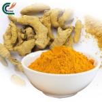 Curcumin Extract Factory - 5%-98% Curcuma Long