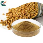 Lions Mane Extract Factory - Hericium Polysaccharide