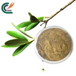 Glucomannan Powder Factory - Orchid Extract Food