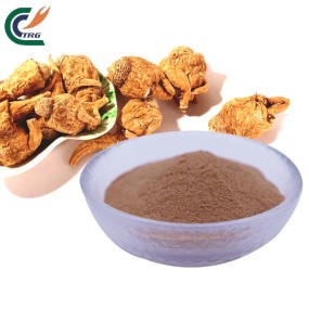 Reishi Extract Factory - Ganoderma 30% Beta
